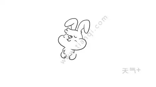 卡通小兔子简笔画图片小兔子简笔画
