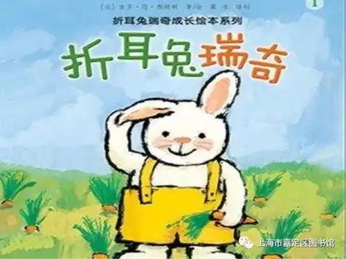 大家好,我是小兔子瑞奇
