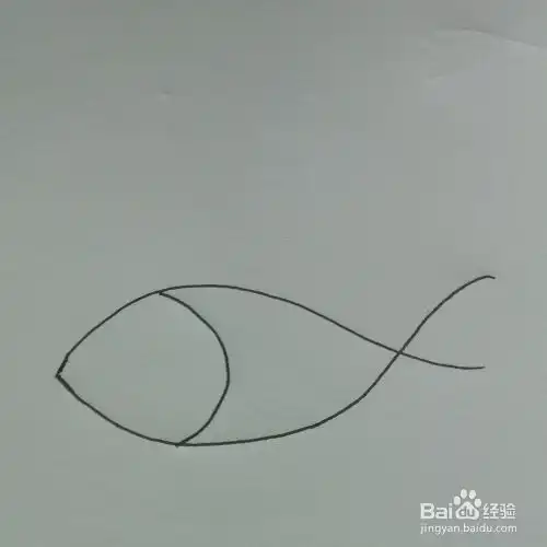 简笔画小鱼
