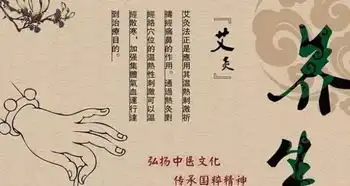春天是用艾好时机,强身治病,原来艾叶这么牛00
