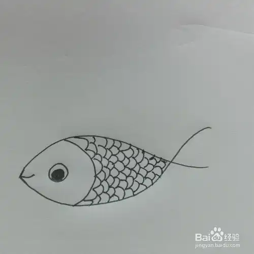 简笔画小鱼

