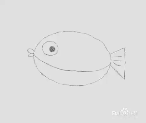 简笔画小鱼是怎么画的
