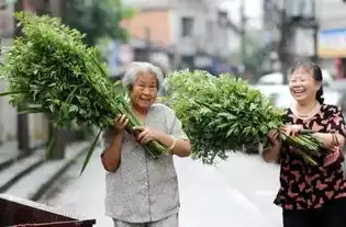 端午快到啦艾叶加一物,专治颈肩腰腿痛试过都说神
