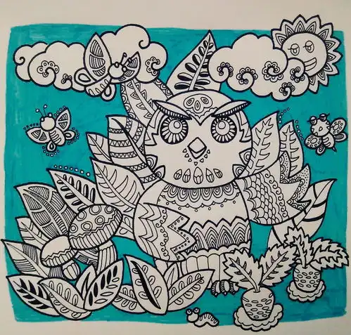 关于猫头鹰的创意插画展示
