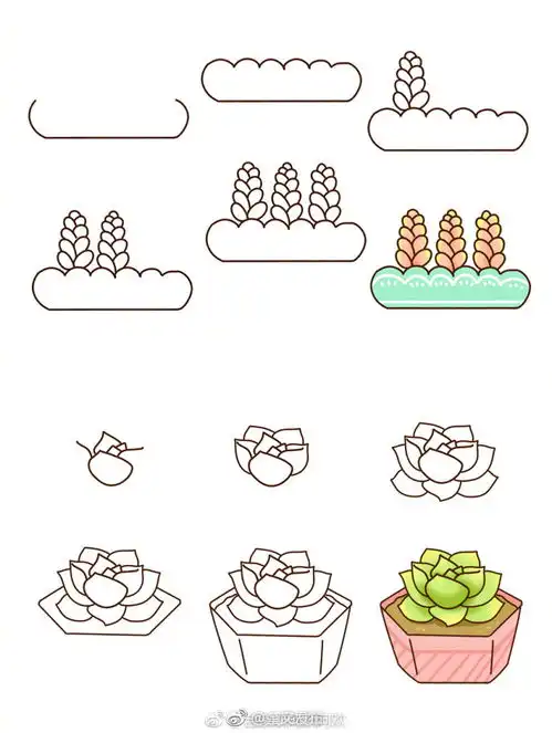 18个超萌多肉植物简笔画
