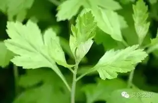 湿气重怎么办身体七个排污口都窝在这
