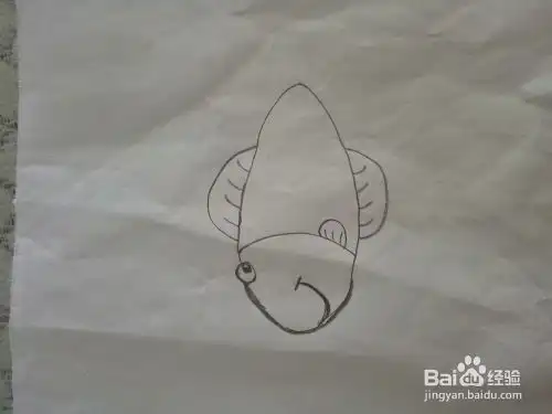 小鱼简笔画的画法

