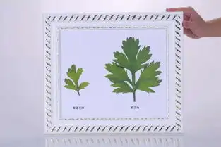 什么是艾灸,什么是艾珍好蕲艾灸,有区别吗

