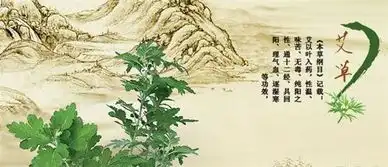 威科达科技2017年端午节放假通知
