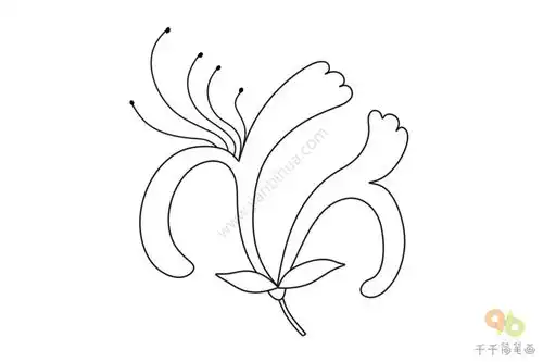 金银花简笔画
