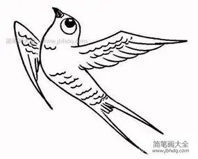 燕子简笔画可爱