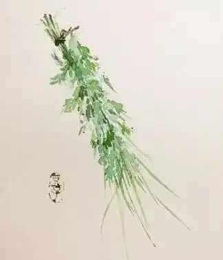 端午粽香艾意浓,这六种艾草妙用你知道吗艾条怎么选,快看这里
