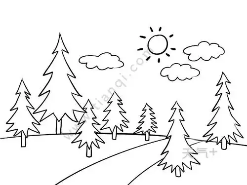 树林简笔画零基础学树林简笔画
