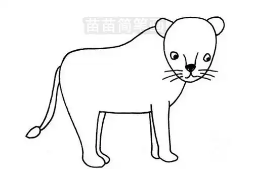 母狮简笔画图片大全教程
