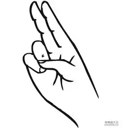 用手比划二
