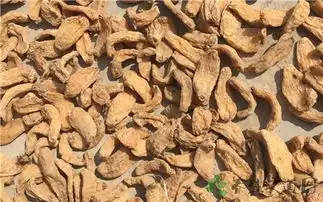 天麻补阴还是补阳
