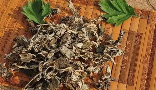 艾叶加一物,可缓解腰腿酸疼关节炎,擦拭3次就不疼了,超级实用
