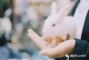 5.13聪明女人的处事之道
