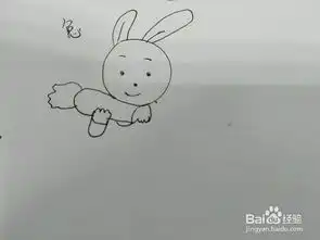 吃胡萝卜的小兔子简笔画怎么画,怎么画吃卡通兔
