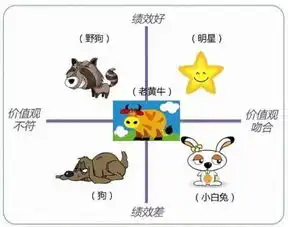 阿里的人才盘点策略
