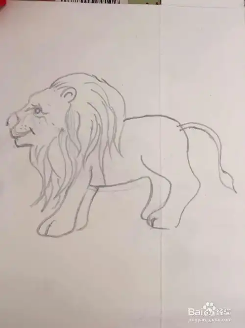 怎样画狮子的简笔画
