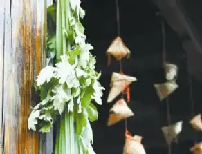 端午节前话艾草,艾草居然这么多好处
