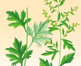 皮肤瘙痒季节性过敏不用怕,一瓶搞定它
