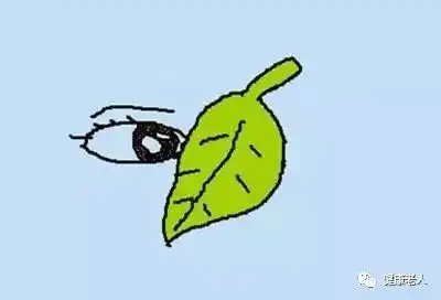 健脑丨看图猜成语30题,你能猜对几个
