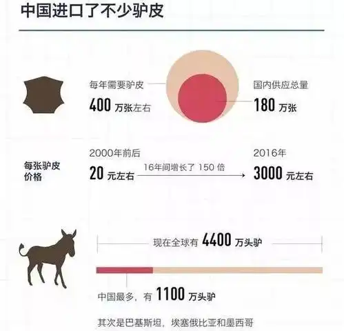 中国人全世界买驴对啊,我们用来养生还帮别人致富,有问题
