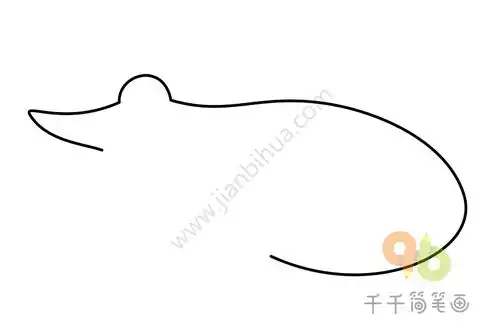 凯门鳄简笔画教程
