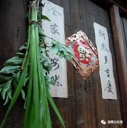粽情端午,快乐安康
