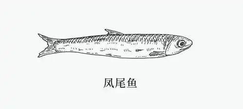 高纯度鱼油怎么吃,吃多久看这篇
