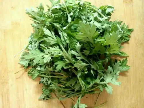 宝宝湿疹老不好,艾草是良方
