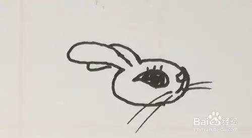 可爱小兔子简笔画怎么画
