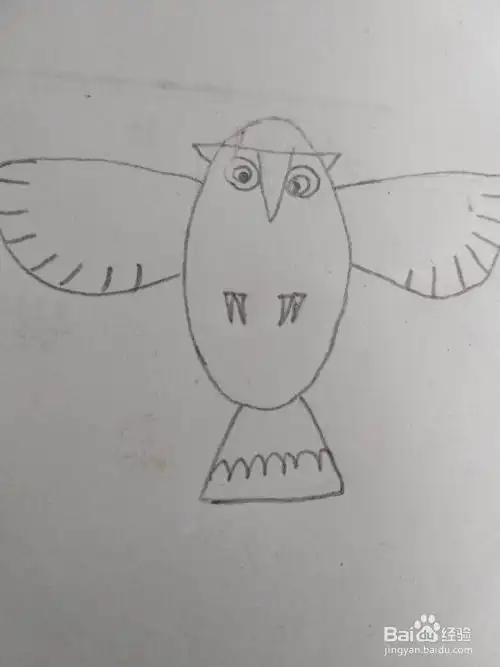 适合宝宝的简笔画亲子手工简单的猫头鹰画法
