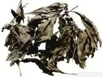 端午节戴个香草袋,不怕五虫害
