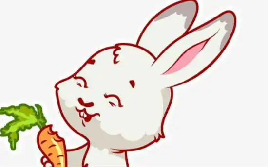 小白兔的故事和米奇的故事
