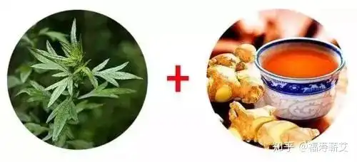艾草加一物,扫除体内10年恶寒,让疾病断根,可惜很少人知道
