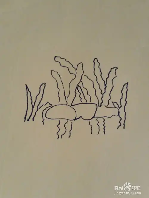 水里的小鱼儿童简笔画
