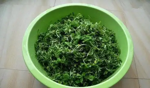 夏天颈肩腰腿痛小妙招给你,专治颈肩腰腿痛,真是太好用了
