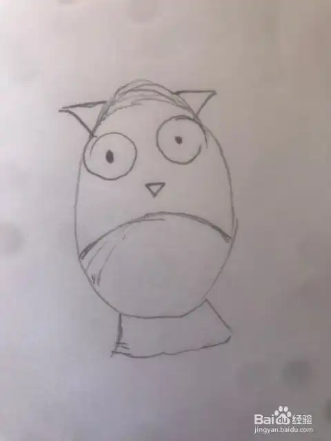 一步一步简笔画猫头鹰的画法
