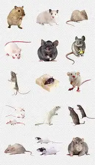 cdr核辐射图片cdr格式核辐射图片素材图片cdr核辐射图片设计模板我图网

