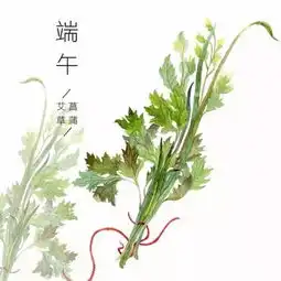 中医说端午节为什么又被称为卫生节
