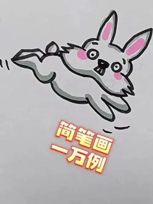 小兔子简笔画简笔画儿童简笔画画画小白兔简笔画简笔画教程

