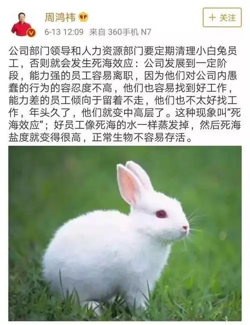躲不掉的中年危机真正麻烦不是高房价,而是未富先老
