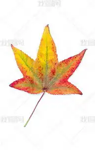 枫叶简笔画彩色