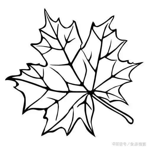 python简笔画绘制数据驱动绘图python绘制枫叶简笔画
