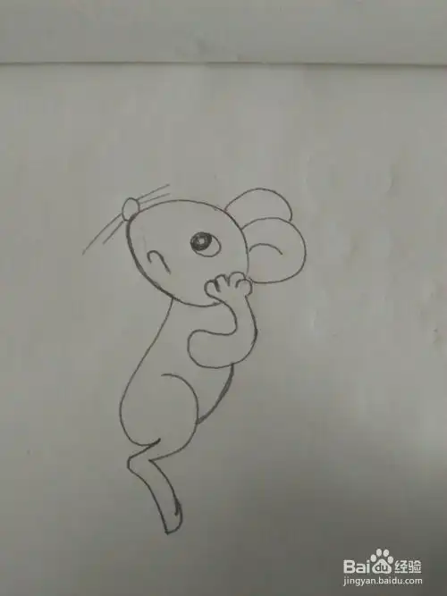 怎么画简笔画小老鼠
