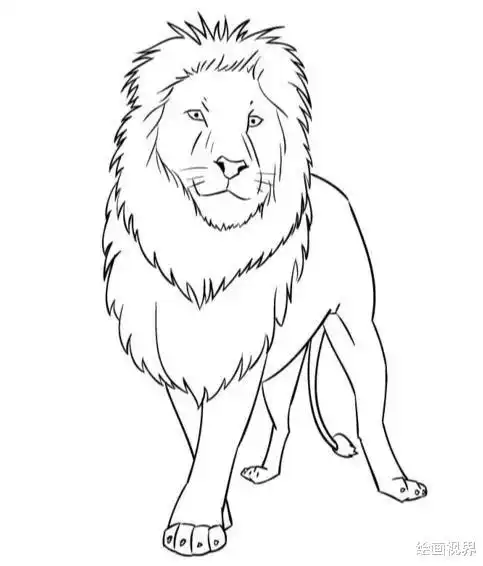 画狮子很难从线稿到造型教你画,非常适合初学者临摹学习,收藏
