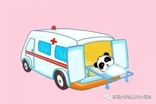 40米高空坠落医护团队帮他捡回一命
